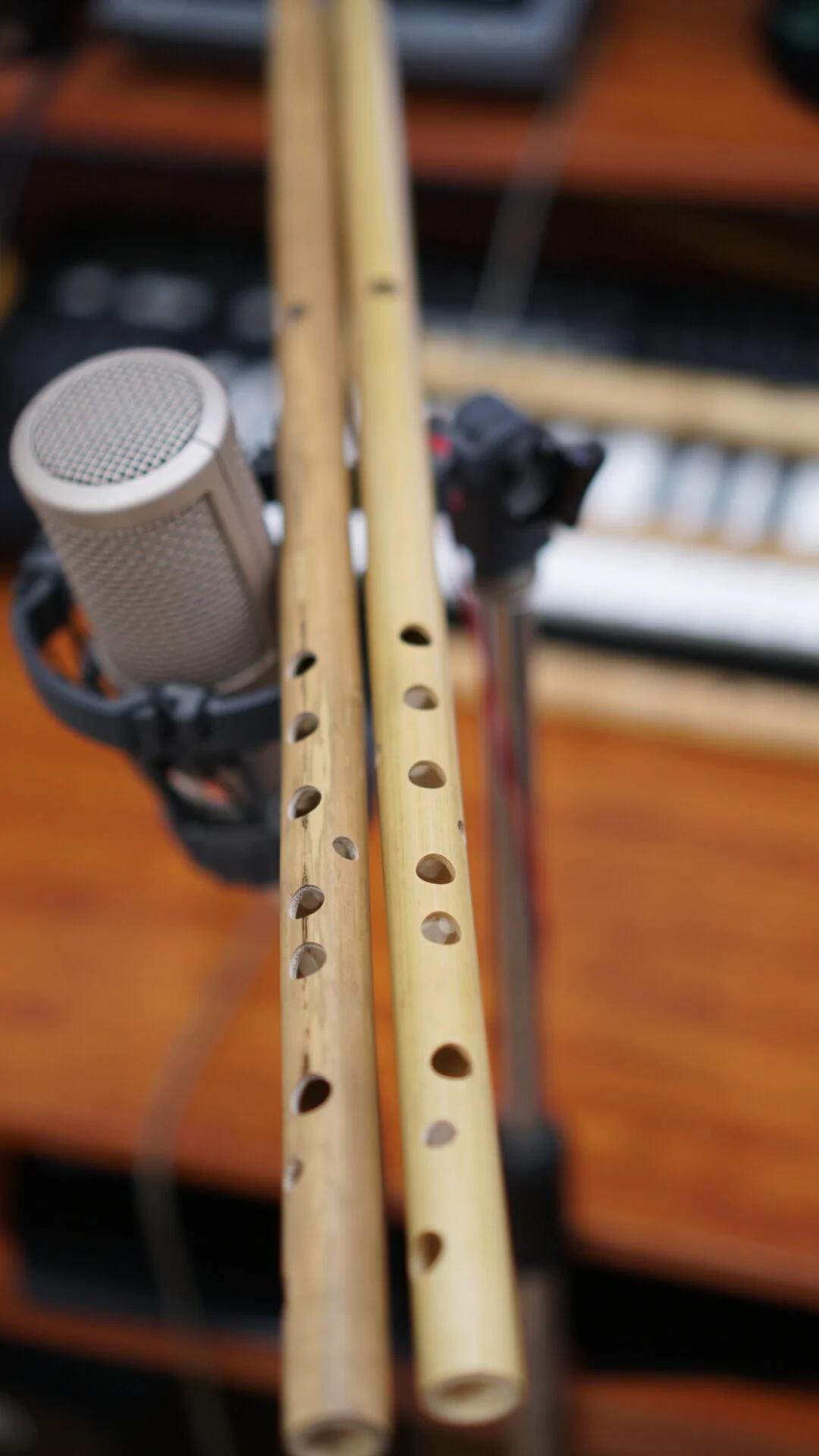 Sáo Rê D5 Chuyên Nghiệp 1 Sáo Chuyên Nghiệp