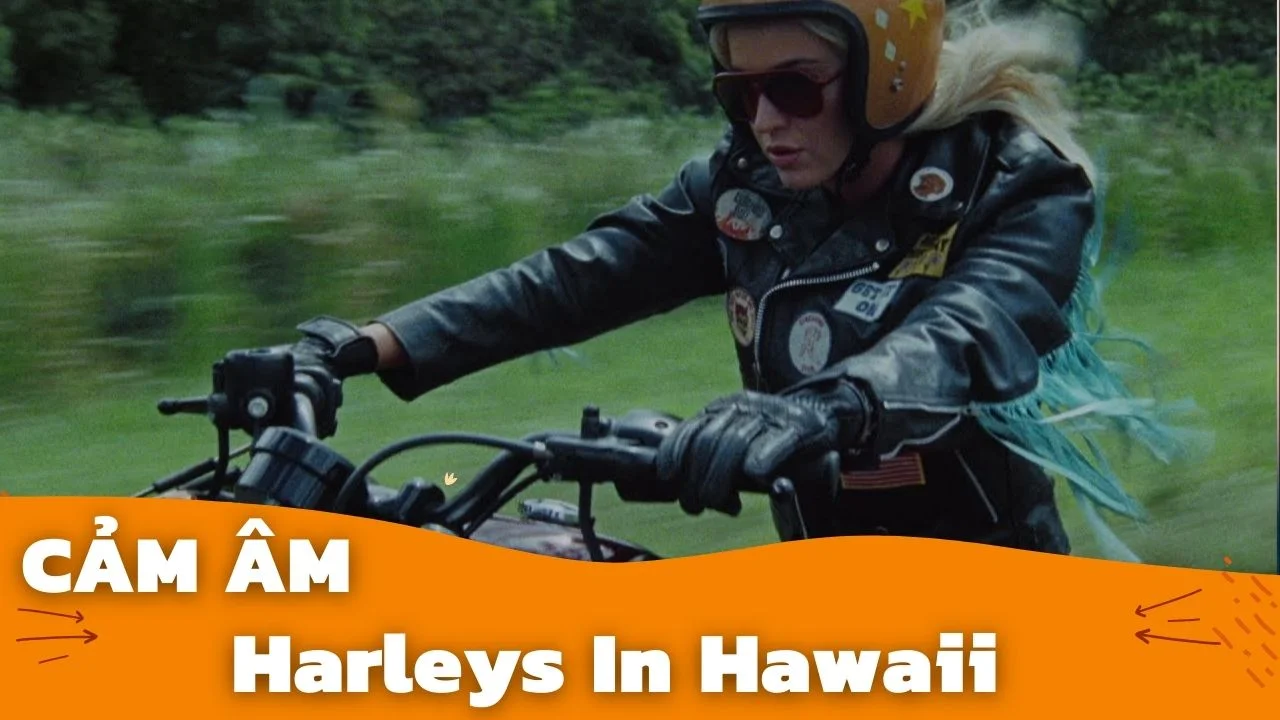 Cảm Âm HARLEYS IN HAWAII | Katy Perry | Sáo Trúc Hoàng Anh Chuẩn Nhất