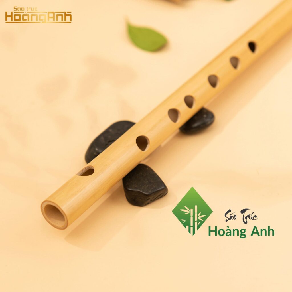 S&aacute;o Đ&ocirc; C5 Cho Người Mới