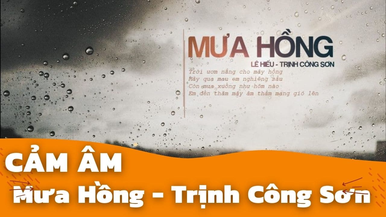 Cảm Âm Mưa Hồng | Trịnh Công Sơn | Sáo C5 Chuẩn Nhất